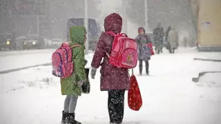 Астанада екінші ауысымдағы мектеп оқушылары қашықтан оқиды