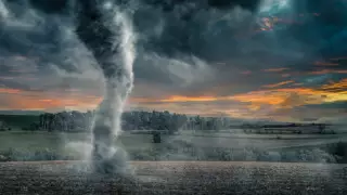 Ирландияда күшті дауыл көліктерді зақымдап, ағаштарды жұлып әкетті