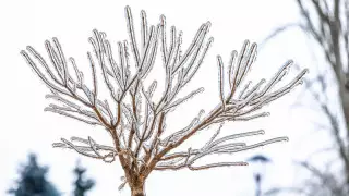 Қар және жаңбыр: Қазақстанда ауа райы қандай болады?