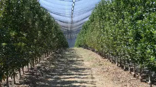 2023 жылдың қорытындысы: Қазақстанда пайдаланылмай жатқан қанша жер қайтарылды?