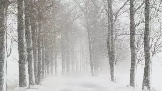 Қазақстанда бүгін ауа райы қандай болады?