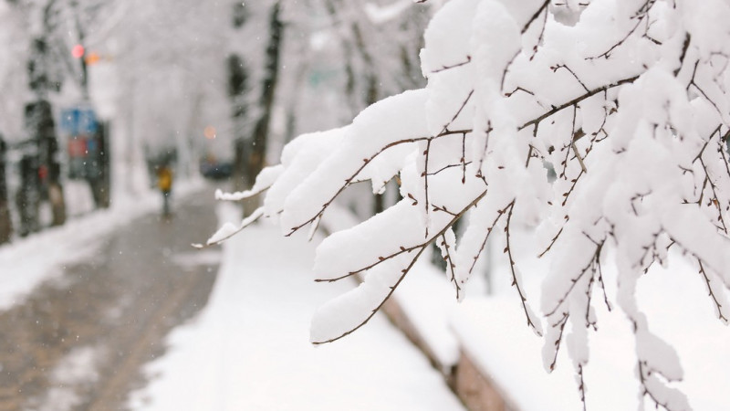 Фото ©️ Tengrinews.kz / Әлихан Сариев