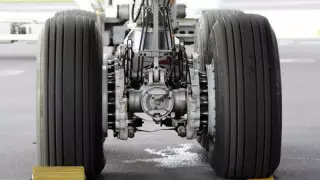 Алжирден ұшып келген ұшақтың шассиінен адам табылды