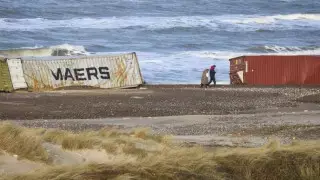 Дания жағалауында мыңдаған бәтіңке шашылды