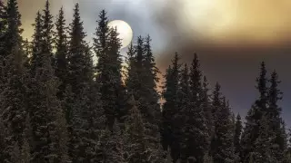 "Жасанды интеллект жасағандай". Сиқырға толы сурет желіде қызу талқыға түсті