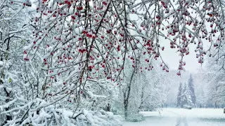 Қазақстанда бүгін ауа райы қандай болады?