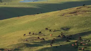 10 миллион гектар: қайтарылған жерлер картасы пайда болды