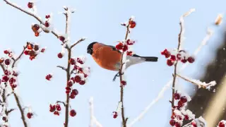 Қазақстанда бүгін ауа райы қандай болады?