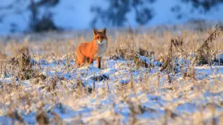 Қазақстанда бүгін ауа райы қандай болады?