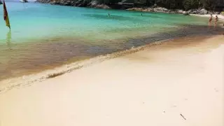 Пхукетте теңіз суы не себепті қарайып кеткені белгілі болды