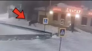 Елордада үйіне келе жатқан ер адам күтпеген оқиғаға тап болды