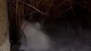 Ертісте су деңгейі күрт көтеріліп, адамдар эвакуацияланды