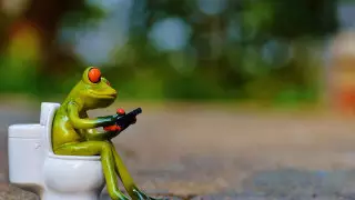 Жолаушы ұшақ дәретханасында ұшуға мәжбүр болған