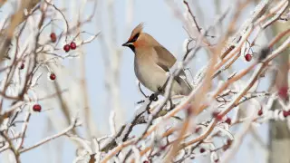 Қазақстанда бүгін ауа райы қандай болады?