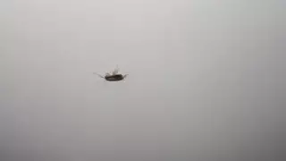 "Шок болып қалдым". Қазақстандық "Астана-Атырау" пойызындағы тарақандарға шағымданды