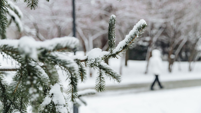 Фото ©️ Tengrinews.kz / Әлихан Сариев