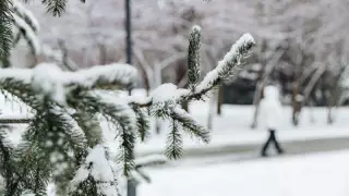 Қазақстанда алдағы демалыс күндері қар жауады