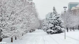 Қазақстанда алдағы күндері ауа райы қандай болады?