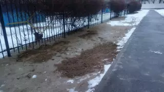 Ақтауда балабақша маңында жанжал шығып, ер адам пышақ жарақатын алды