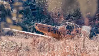 Бразилияда ұшақ апатынан жеті адам қаза тапты