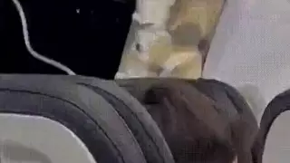 Әуеге көтерілген Boeing 737 MAX ұшағының есігі не себепті жұлынып кеткені анықталды