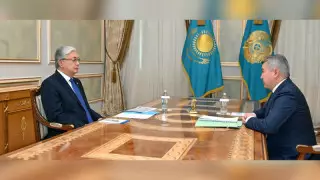 Тоқаев "Бәйтерек" төрағасын қабылдады