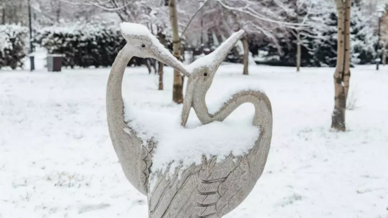 Фото ©️ Tengrinews.kz / Әлихан Сариев