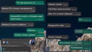 "Ертіс орманы" басшысы күдікке ілінді: Антикор іске қатысты дәлелдерді жариялады