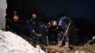 "Қазселденқорғау" мекемесі Алматыдағы лай көшкінінің себебін түсіндірді