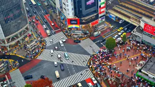 Жапония халқының ұйымшылдығы жұртты сүйсіндірді