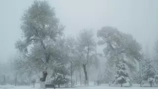 Синоптиктер Астана мен тағы екі қаланың тұрғындарына ескерту жасады