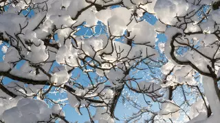 Қазақстандықтар алдағы демалыс күндері қандай ауа райына дайын болуы керек?