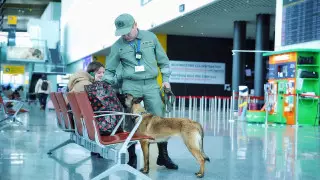 Әуежай жұмысы көңіліңізден шықпаса, қайда шағымдануға болады