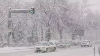 Ауа райының қолайсыздығынан 7 облыста жол жабылды