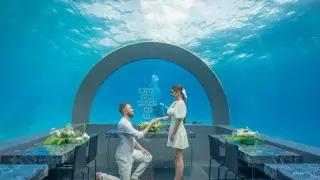 Ташкенттегі секс видео