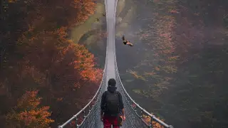 2024 жылы саяхатшылар неден қауіптенетіні анықталды