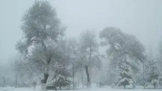 Синоптиктер Алматы, Астана және тағы 7 қала тұрғындарына ескерту жасады