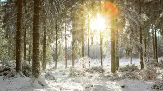 Қазақстанда демалыс күндері ауа райы жылы болатыны айтылды