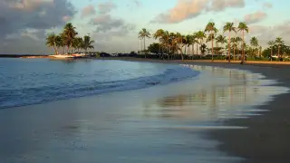 Гавай аралдарында акула 11 жасар қызға шабуыл жасады