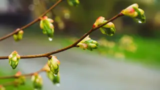 Қазақстанда алдағы күндері ауа райы қандай болады?