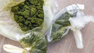 "Масқара". Тоқаев насыбайға құмарлар туралы айтты