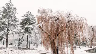 Қазақстанда алдағы күндері ауа райы қандай болады?