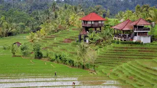 Балидегі лай көшкінінен екі турист қаза тапты