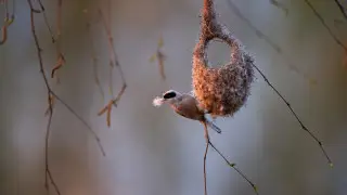 Қазақстанда бүгін ауа райы қандай болады?