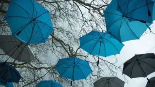 Қазақстанда күн күркіреп, екпінді жел соғады