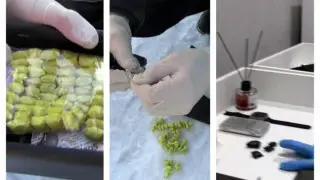 Қазақстандағы арнайы операция: ұйымдасқан қылмыстық топтар жойылды