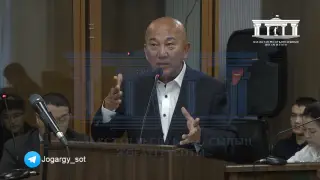 Салтанат Нүкенованы қылқындырған болуы мүмкін - сарапшы