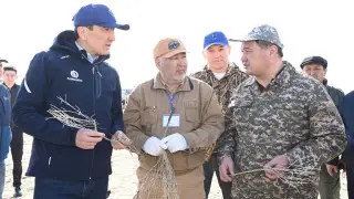 Сыр елінде "Таза Қазақстан" республикалық экологиялық акциясы жалғасын табуда