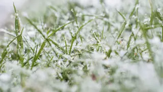 Қазақстанда алдағы күндері ауа райы қандай болады?