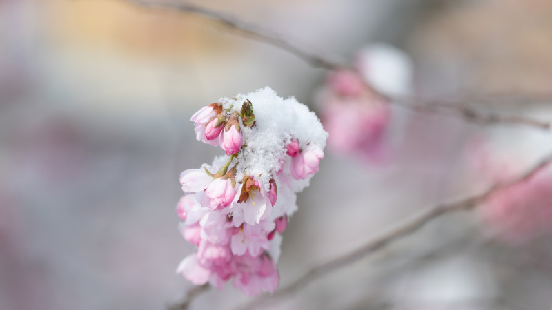 Фото:depositphotos.com